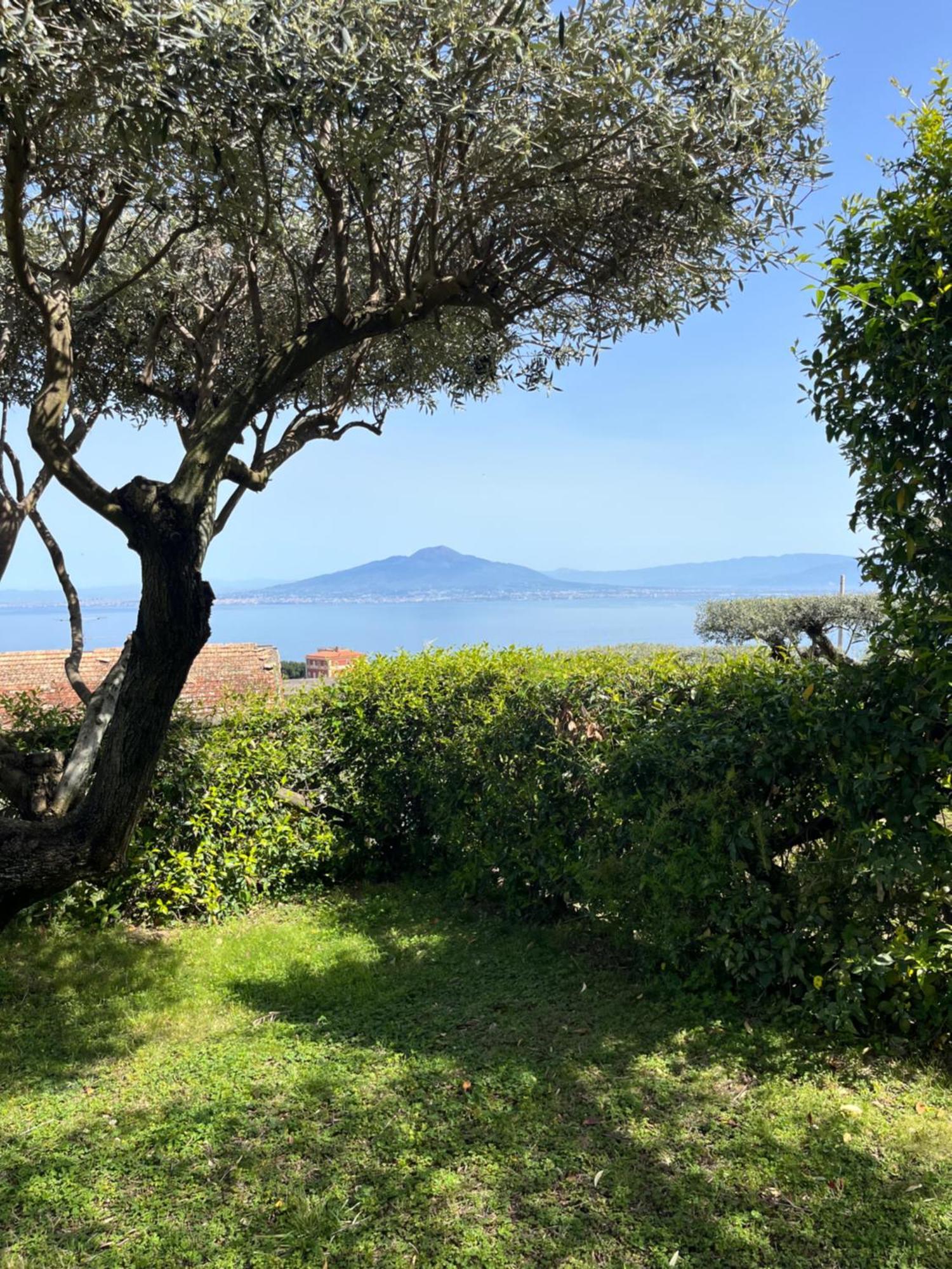 Sorrento Garden Hotel Екстериор снимка