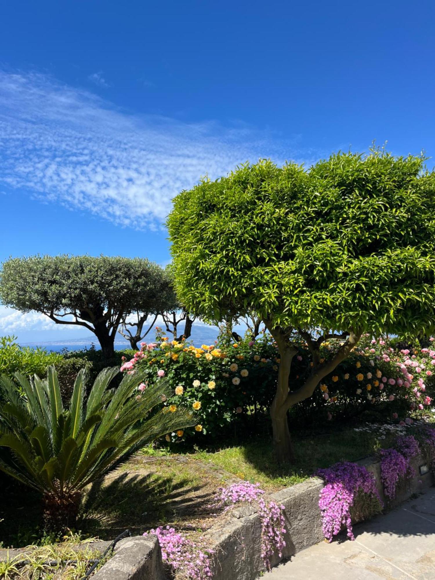 Sorrento Garden Hotel Екстериор снимка