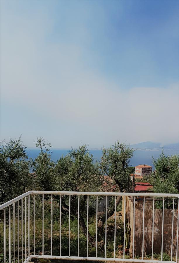 Sorrento Garden Hotel Екстериор снимка