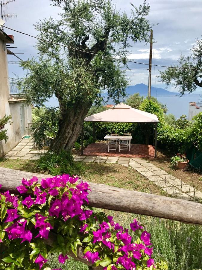 Sorrento Garden Hotel Екстериор снимка